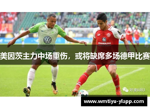 美因茨主力中场重伤，或将缺席多场德甲比赛