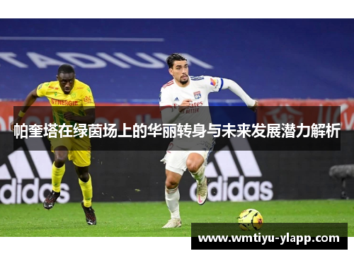 帕奎塔在绿茵场上的华丽转身与未来发展潜力解析