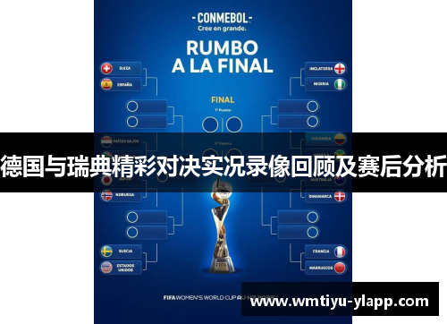 德国与瑞典精彩对决实况录像回顾及赛后分析
