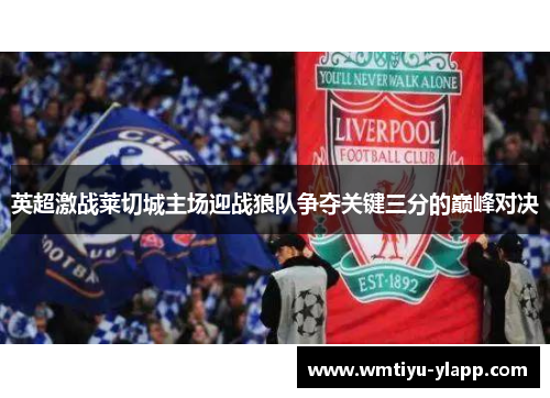 英超激战莱切城主场迎战狼队争夺关键三分的巅峰对决